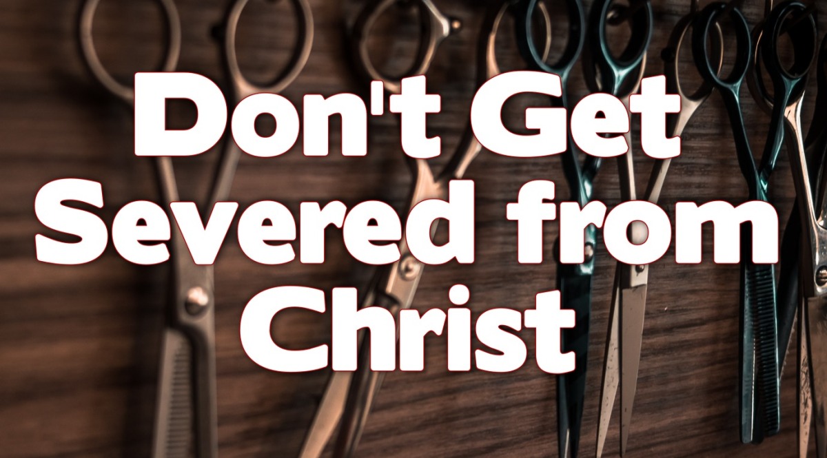 Don’t Get Severed from Christ
