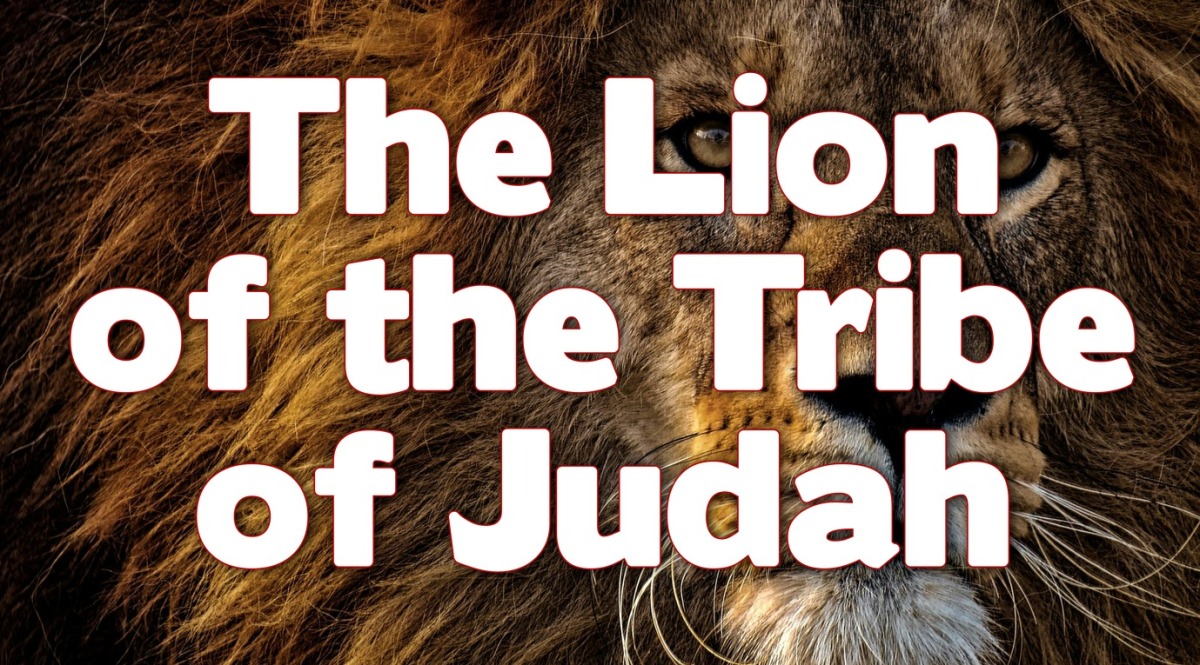 Revelation 5: The Lion of the Tribe of Judah