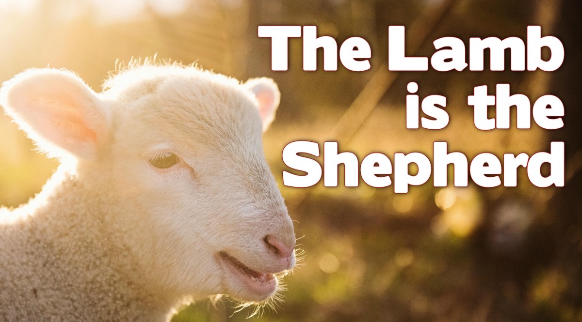 Revelation 7: The Lamb is the Shepherd